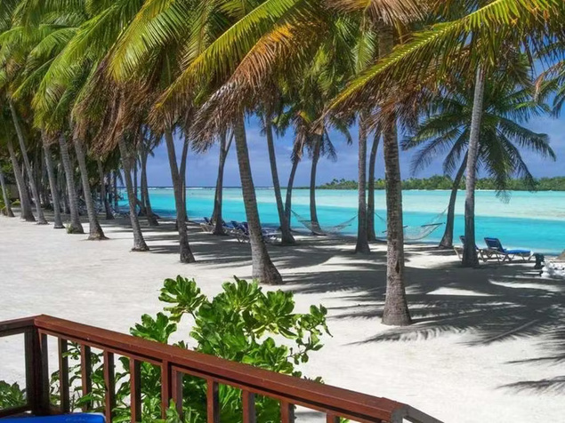 Premium Beachfront Bungalow Premium Beachfront Bungalow