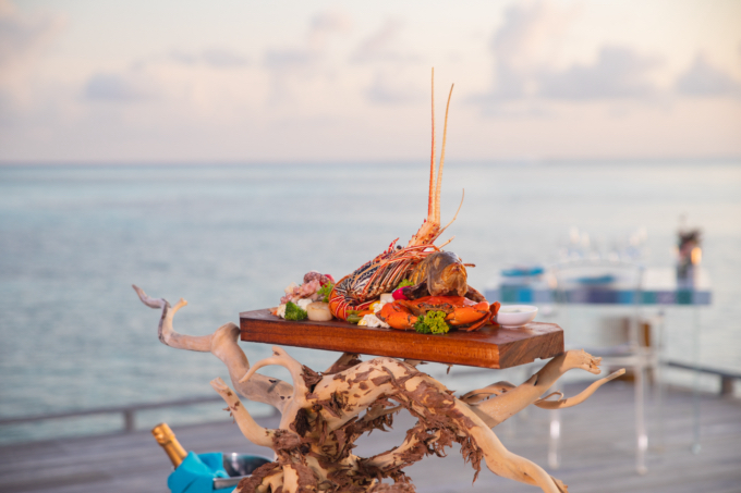 Manta Restaurant Manta Restaurant