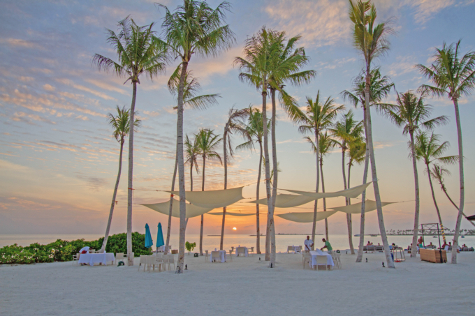 Palm Beach Palm Beach