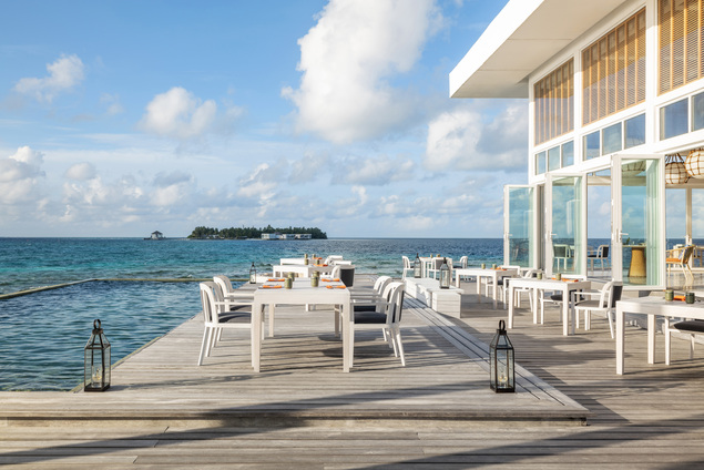 Yapa & Yuzu Yapa & Yuzu