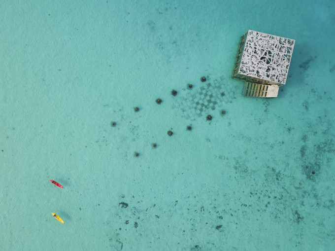Coralarium Coralarium