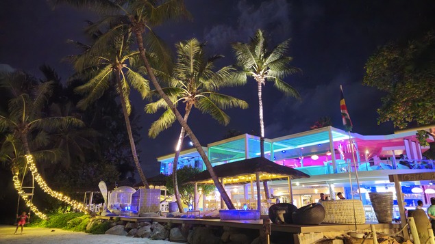 Blue Octopus und Café des Arts