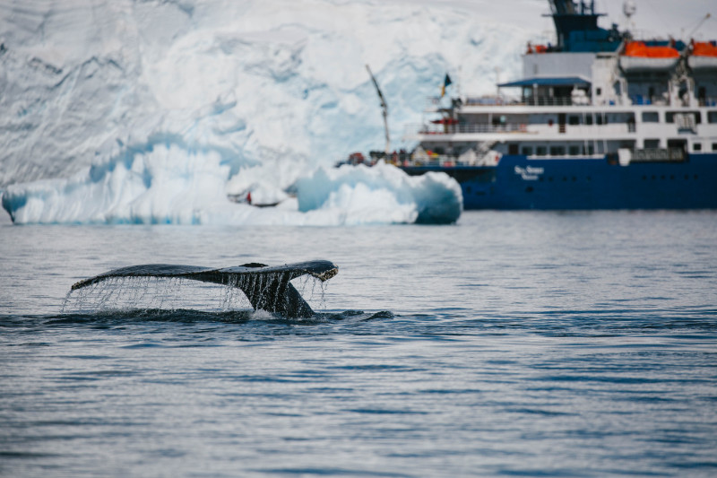 Einzigartiges Ökosystem Einzigartiges Ökosystem