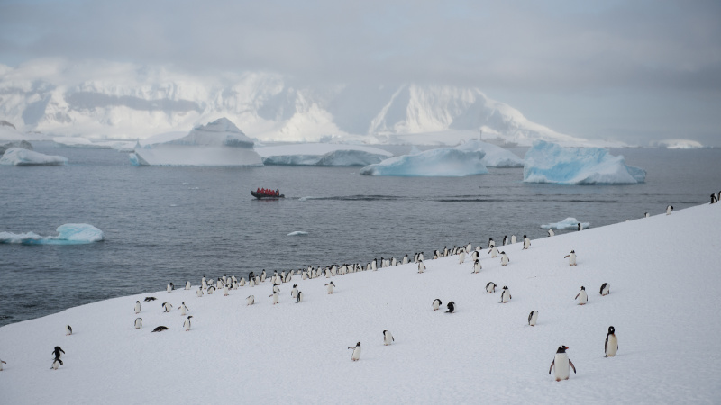 Einzigartiges Ökosystem Einzigartiges Ökosystem