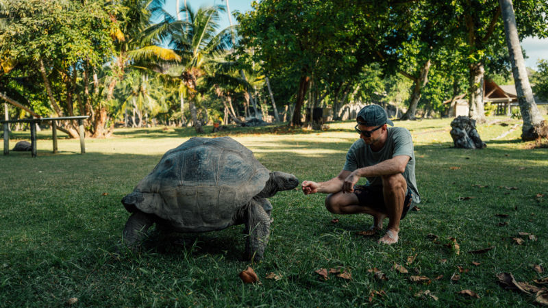 Seychelles Seychelles