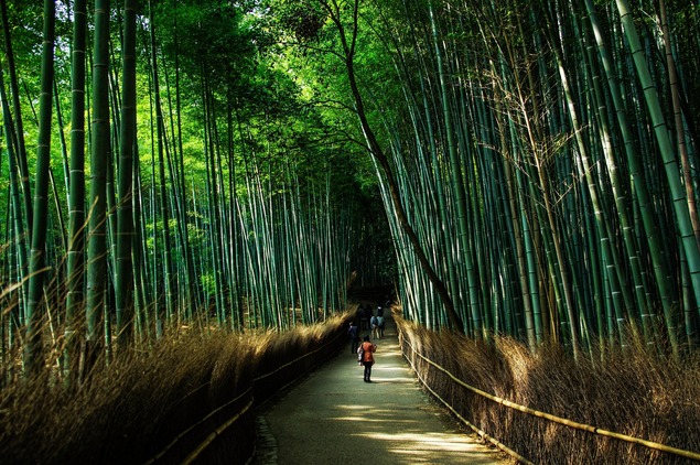 Kyoto Kyoto