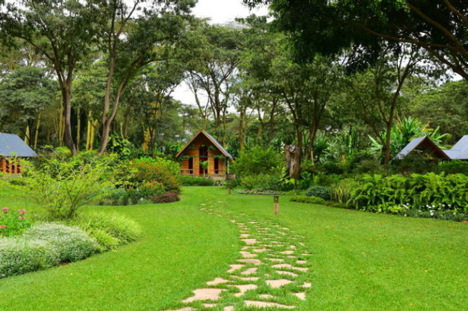 Tumbili Lodge Arusha Tumbili Lodge Arusha