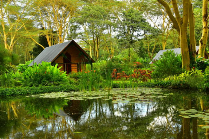 Tumbili Lodge Arusha Tumbili Lodge Arusha