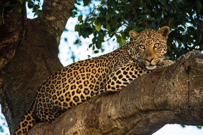 Tarangire Nationalpark Tarangire Nationalpark