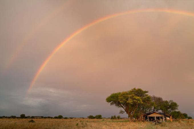 Nördliche Serengeti Nördliche Serengeti