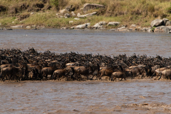 Nördliche Serengeti Nördliche Serengeti