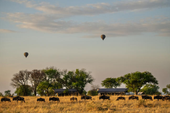 Nördliche Serengeti Nördliche Serengeti