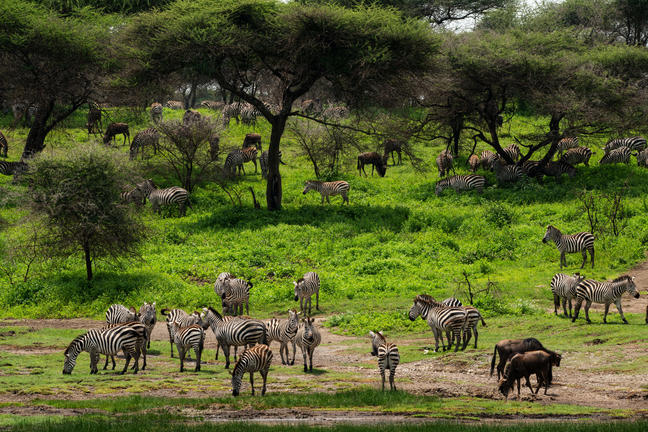 Südliche Serengeti Südliche Serengeti