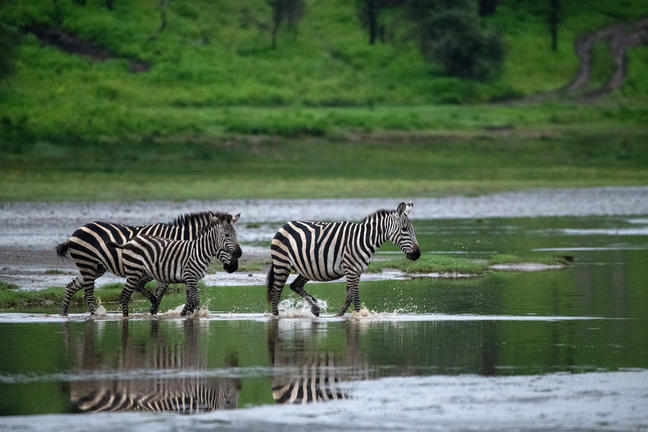 Lake Manyara Nationalpark Lake Manyara Nationalpark