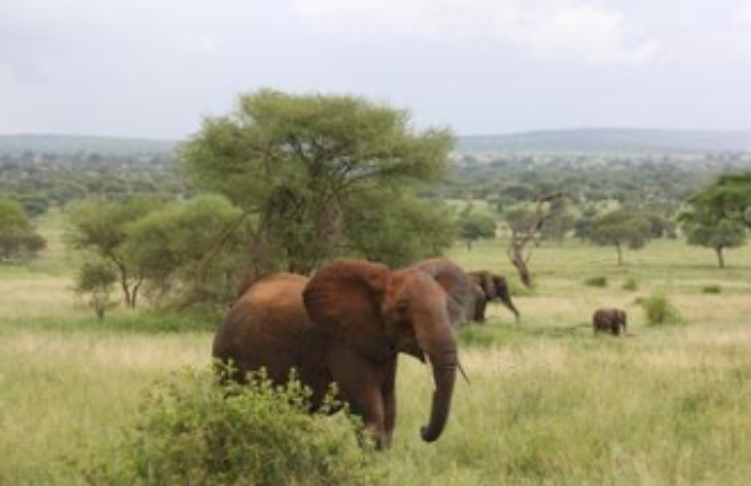 Safari in Tansania – Lake Eyasi