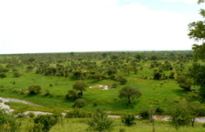 Safari in Tansania – Lake Eyasi