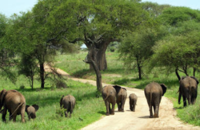 Safari in Tansania – Lake Eyasi